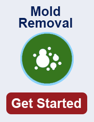 mold remediation in Sunnyvale